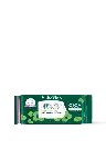 saborino cica - front - website.webp
